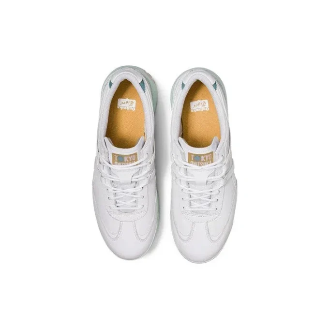 Delegation EX “White Green”