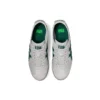 Mexico 66 “Grey Green”